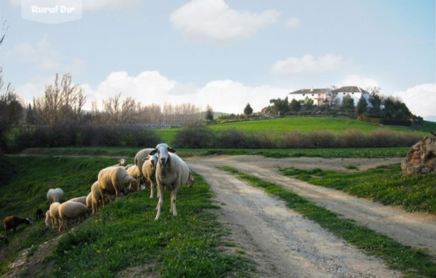 Vista de la casa rural desde el río Velillos, en los pies del Cerro de La Gineta. de la casa rural Alojamiento rural La Gineta