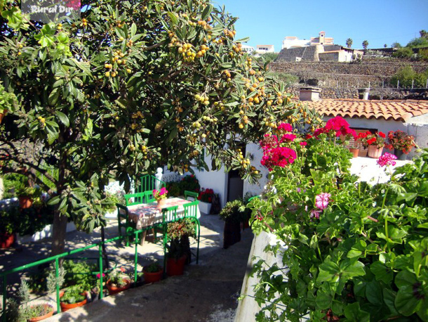 Casa Rural Isabel Vilaflor Tenerife de la casa rural Casa Rural Isabel Vilaflor Tenerife