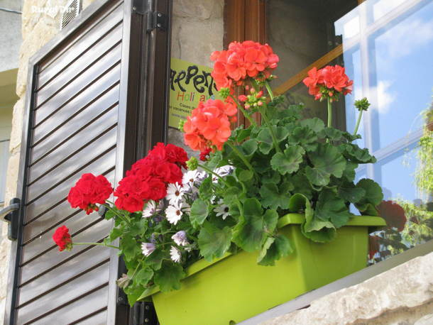 Bienvenido a Ca la Cèlia de la casa rural Ca la Cèlia (AlpensHolidays)