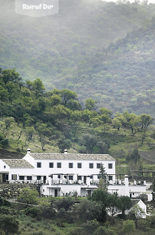 Conjunto en la sierra de las nieves  de la casa rural La Molineta 