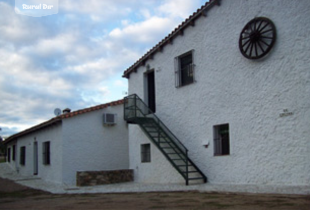 El Olivo de la casa rural El Olivo