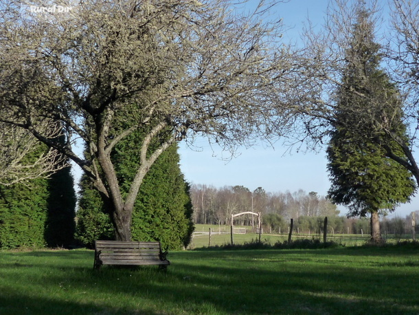 Rincón en el entorno de la casa de la casa rural A Pena de Candamil