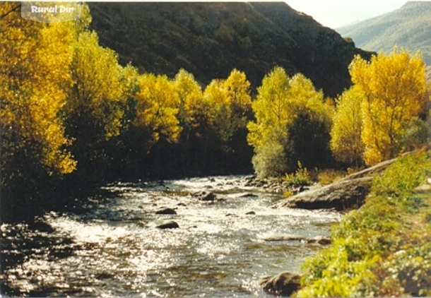 El entorno de la casa rural Cobert d´en piarro