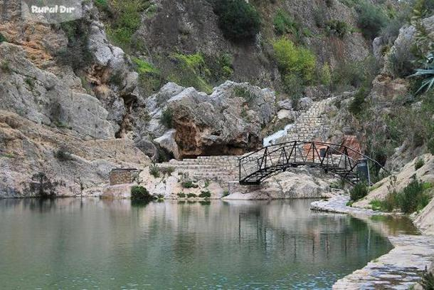 lago a escasos mtrs de la casa de la casa rural Casa rural Lera