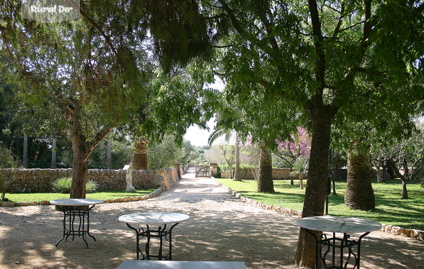 Patio de la casa rural  Es Figueral