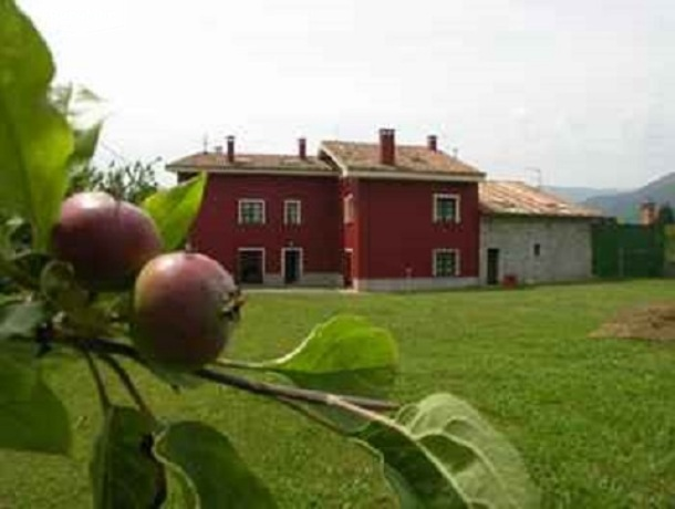 Finca común de 1200 metros con barbacos y columpiosEscribe la descripción aquí de la casa rural Apartamentos Rurales Ovio