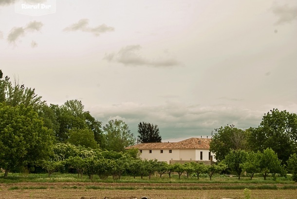 Molino Bajo de la casa rural Molino Bajo