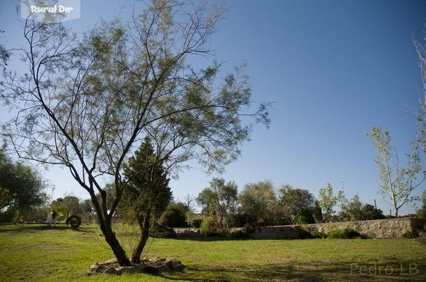 Cortijo del Zoco Bajo de la casa rural Cortijo del Zoco Bajo