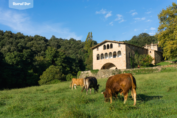 Casa Rural El Callís de la casa rural Casa Rural El Callís