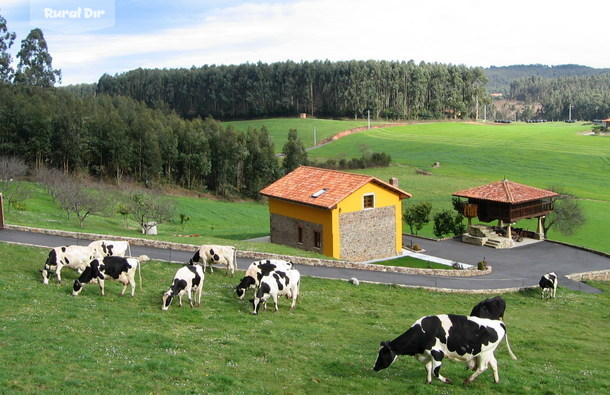 La ganaderia de la casa rural Casa Jesusa