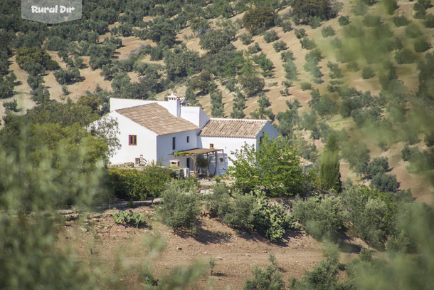 Guesthouse La Pedriza de la casa rural Guesthouse La Pedriza