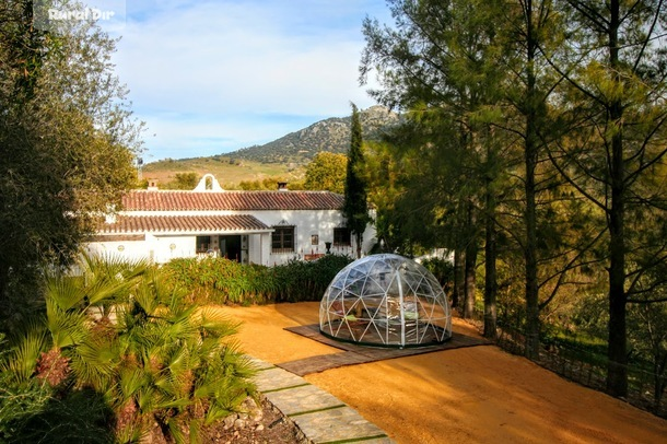 Jardín de la casa rural CASA RURAL EL RANCHO - SIERRA GRAZALEMA