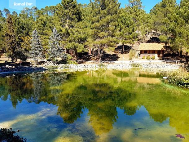 La cabaña del lago. Parque Natural del Río Mundo de la casa rural La cabaña del lago. Parque Natural del Río Mundo