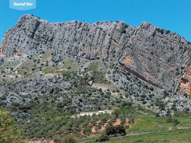 Entorno de la casa rural Cortijo Fuente Marchal