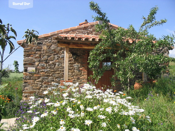 casita estanque de la casa rural El Jiniebro -Casita Estanque