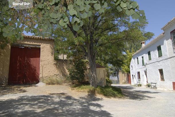 LA CASA DEL COLONO de la casa rural La casa del colono