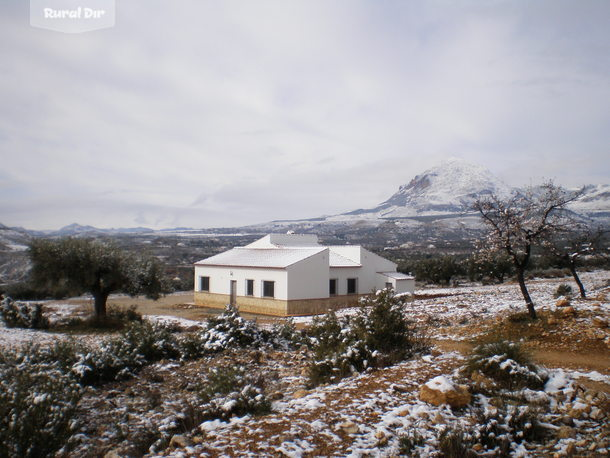 portada de la casa rural Cortijo los girasoles