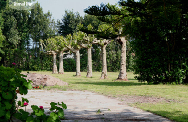 Jardín de la casa rural Los Campos