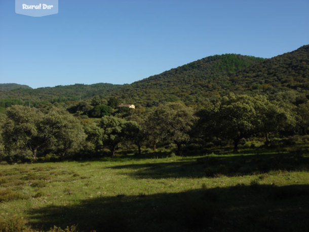 Vista Cortijo en el entorno que le rodea de la casa rural Finca Las Mogeas
