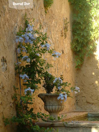 ALBERCA de la casa rural Casa del pati