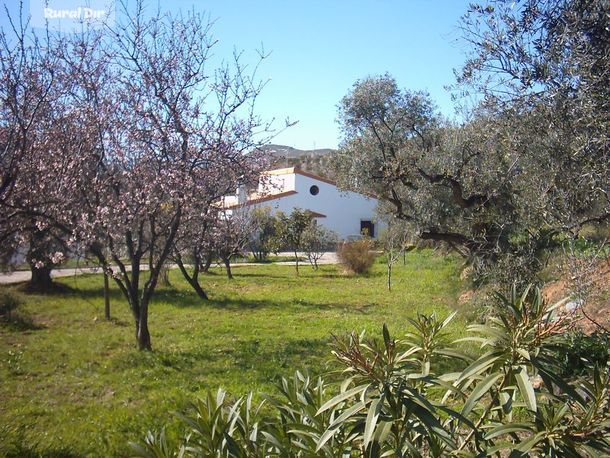 entrada de la casa rural El Llano