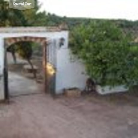 patio de la casa rural Molino Cárdenes