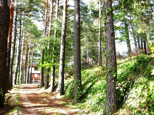 La Finca de la casa rural La Torre de Cercedilla