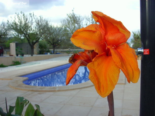 PISCINA de la casa rural Sa Vinyeta