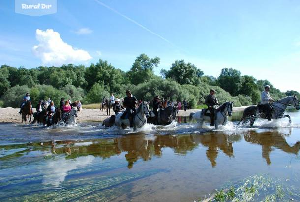 En el río Tiétar de la actividad rural Rutas y paseos a caballo