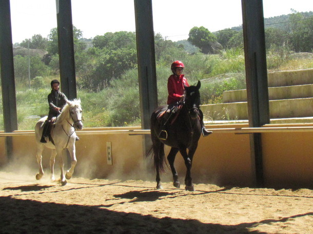 Clases de equitacion de la actividad rural Clases de equitacion