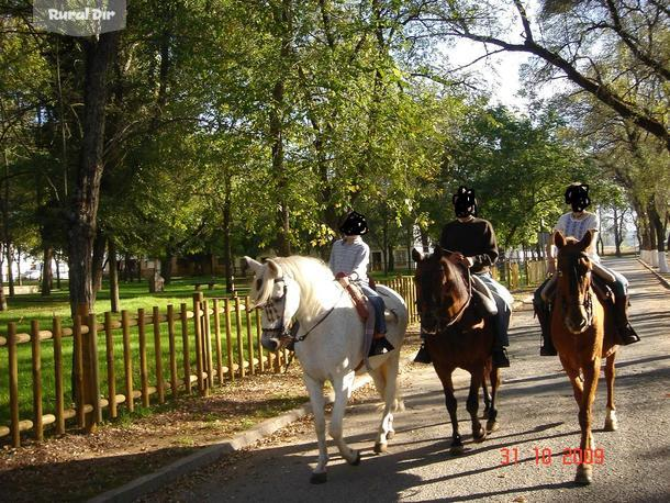 Rutas a Caballo de la actividad rural Rutas a Caballo