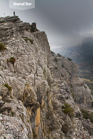 Pinsapos de la Sierra de Líbar de la actividad rural Pinsapos de la Sierra de Líbar