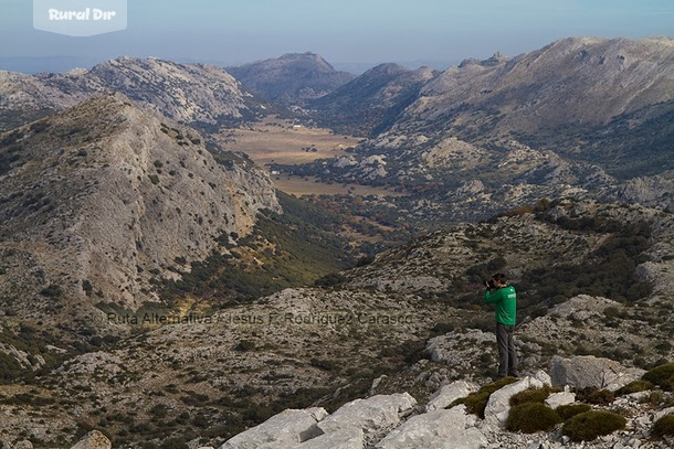 Pinsapos de la Sierra de Líbar de la actividad rural Pinsapos de la Sierra de Líbar