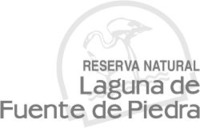 Laguna de Fuente de Piedra